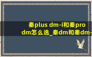 秦plus dm-i和秦prodm怎么选_秦dm和秦dm-i的区别